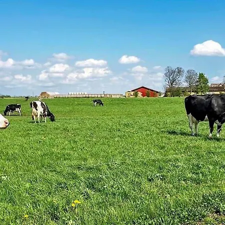 Feriehus Sl324-slagelse-strandvaenget-29