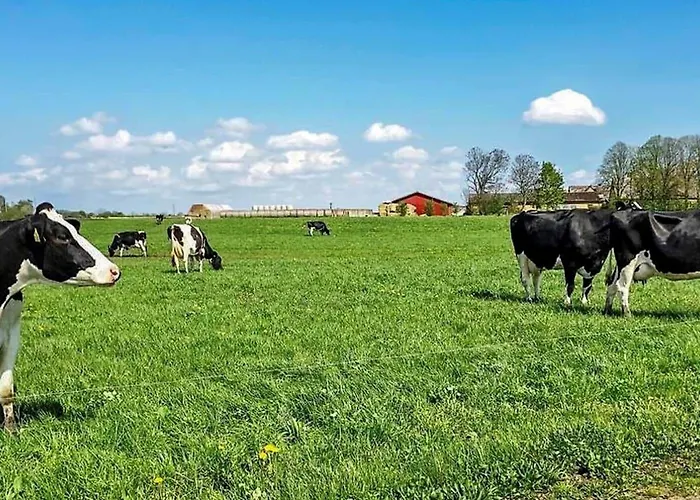 Sl324-slagelse-strandvaenget-29 * سالغيليز